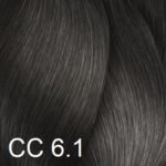 6.1