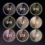 .12 Dark