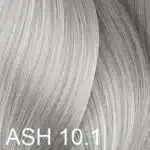 10.1
