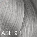 9.1