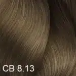 8.13