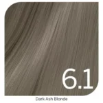 6.1
