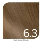 6.3
