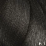 6.1