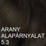 5.3 ARANY ALAPÁRNYALAT