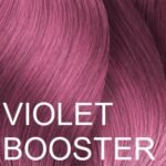 VIOLET BOOSTER